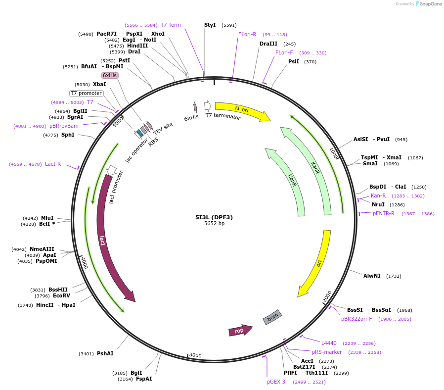 150157_map