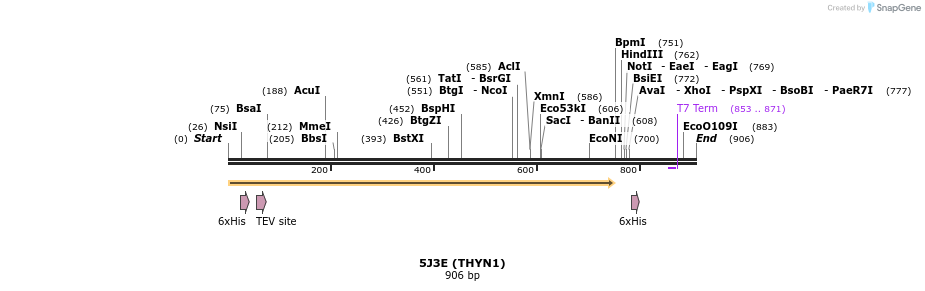 150162_map