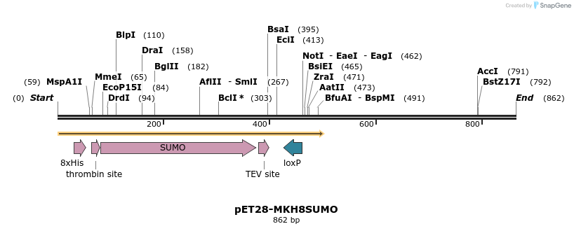 150165_map