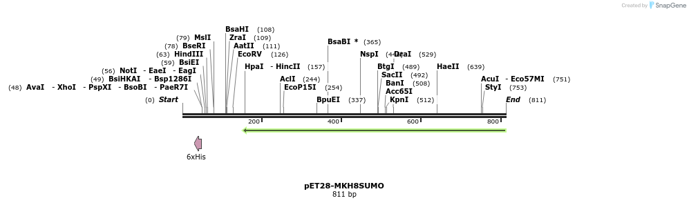 150166_map