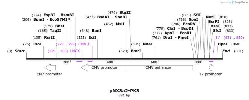 150169_map