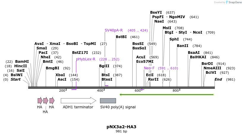 150170_map