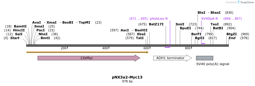 150174_map