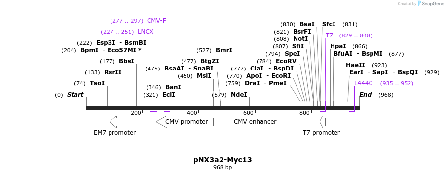 150175_map