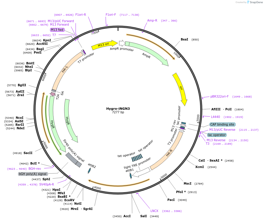 150177_map