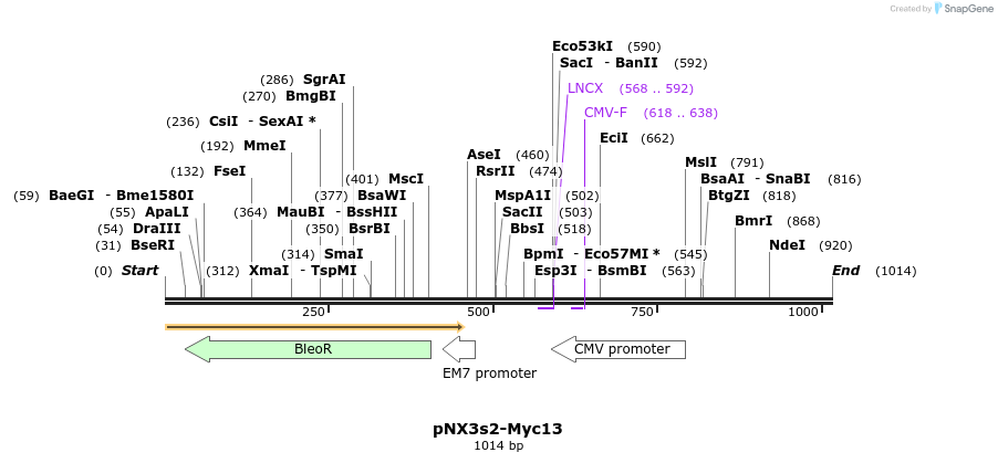 150181_map
