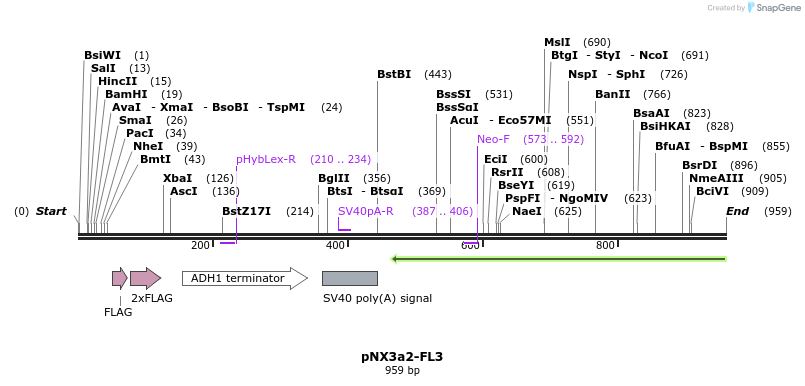 150184_map
