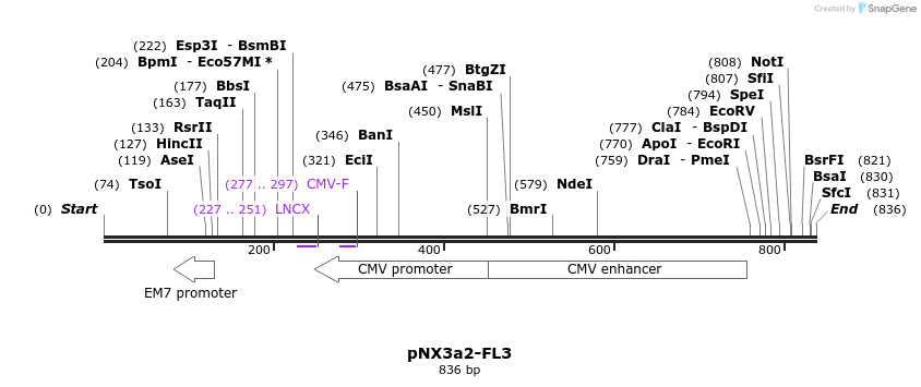 150185_map
