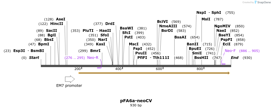 150186_map