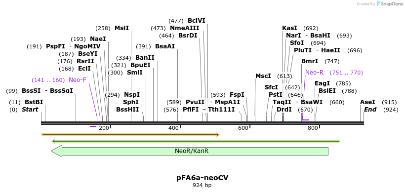 150187_map