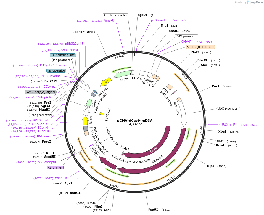 150189_map