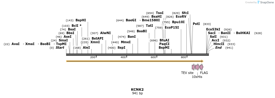 150195_map