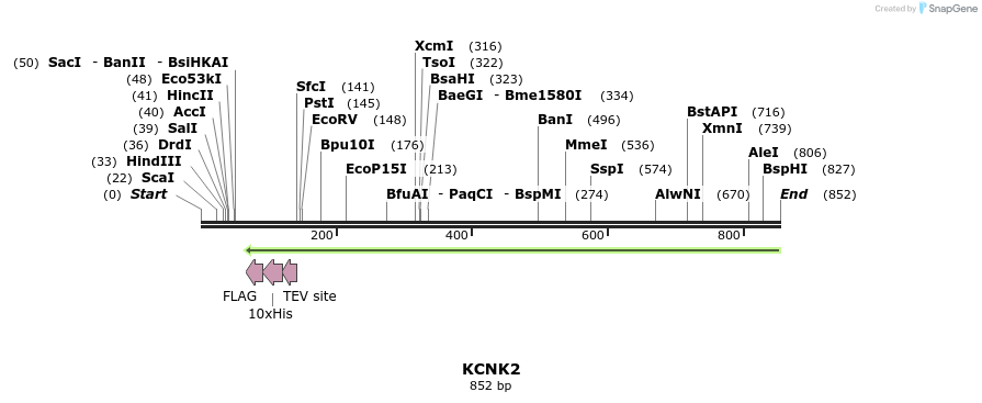150196_map