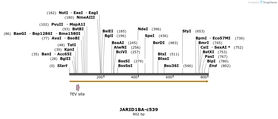 150198_map