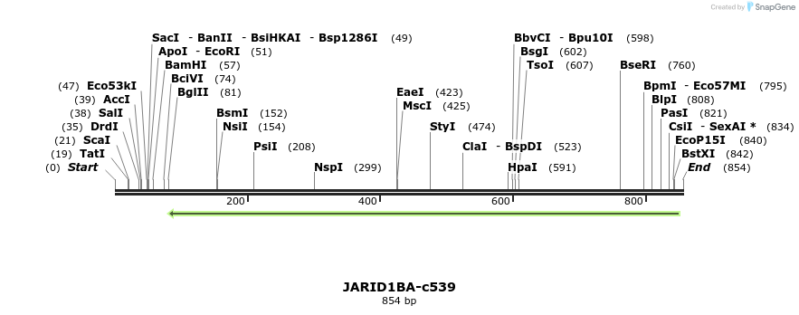 150199_map