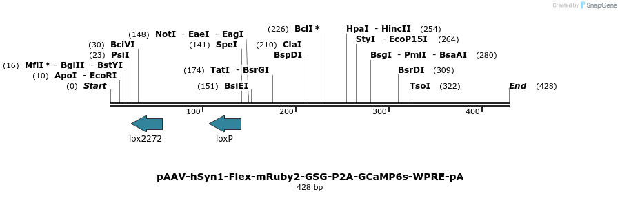 150210_map