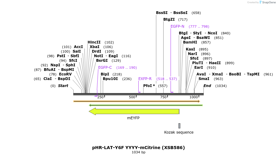 150213_map