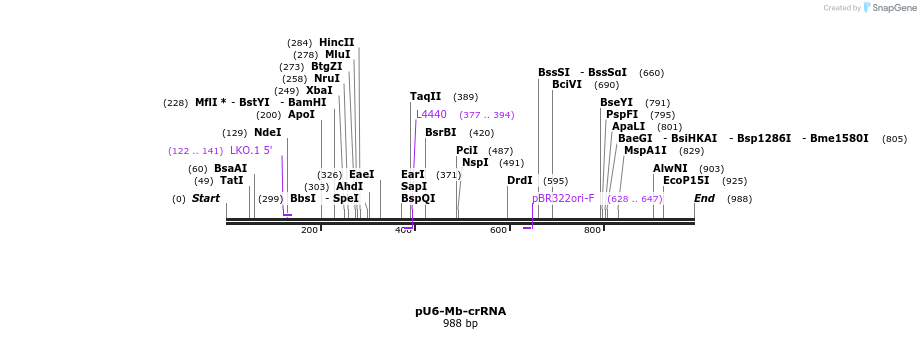 150241_map