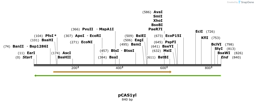 150245_map
