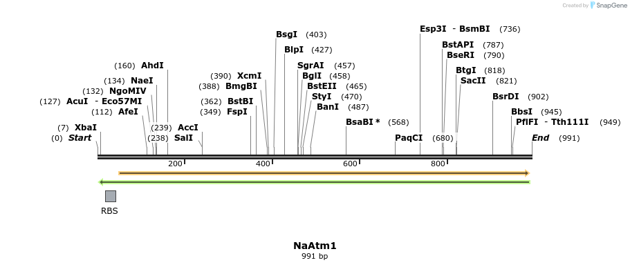 150264_map