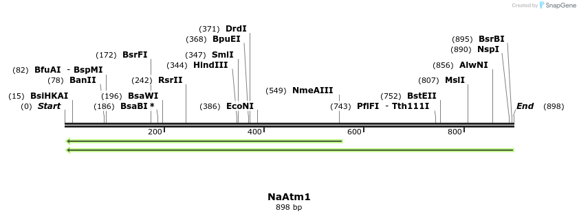 150265_map