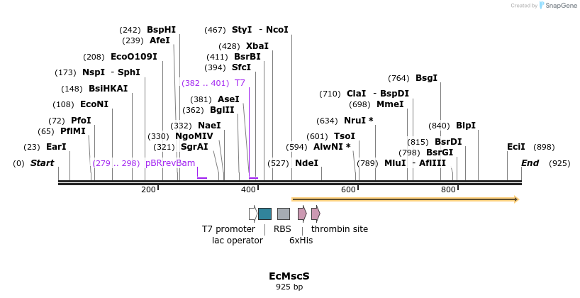 150272_map