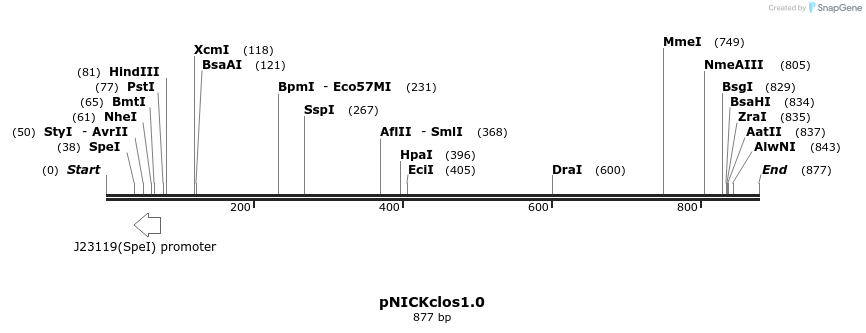 150288_map