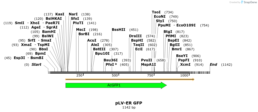 150303_map