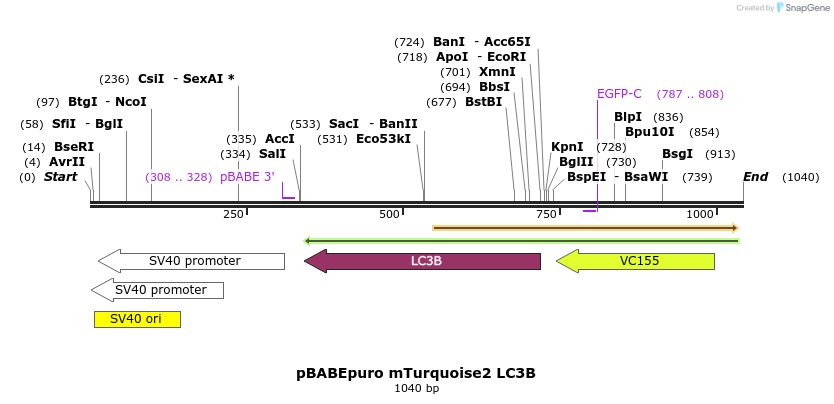 150306_map