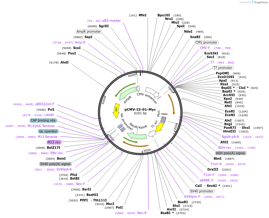 150307_map