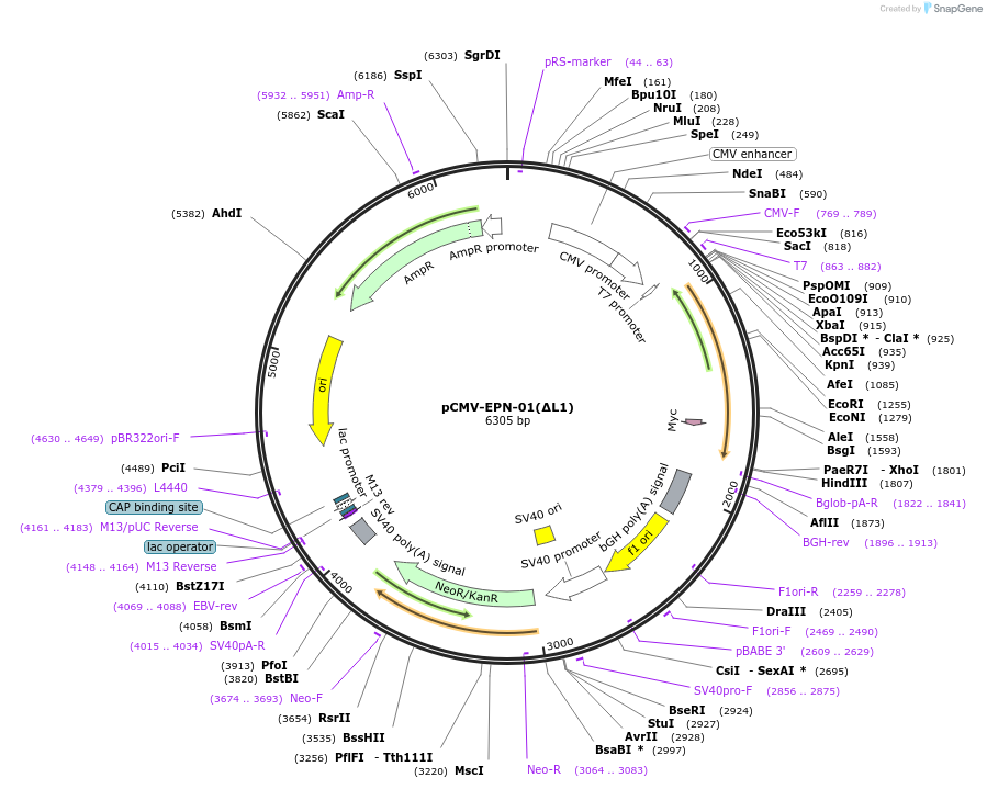 150322_map