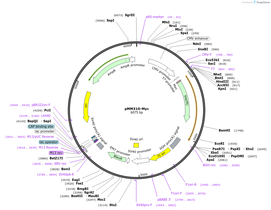 150326_map