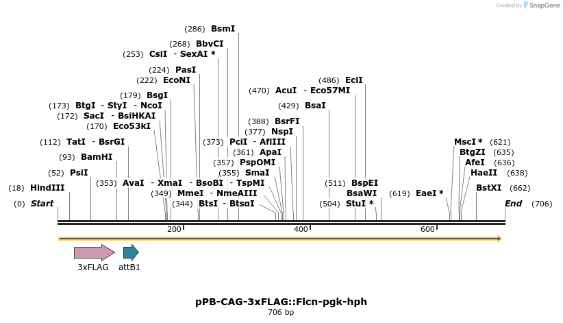 150332_map