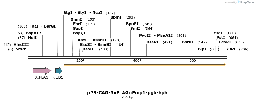 150333_map