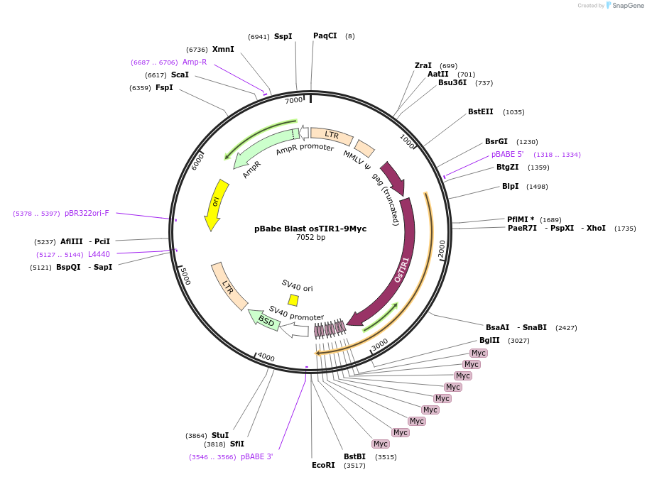 150339_map