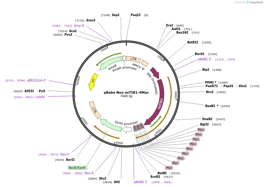150340_map