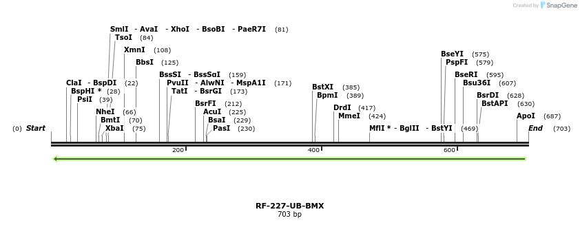 150348_map