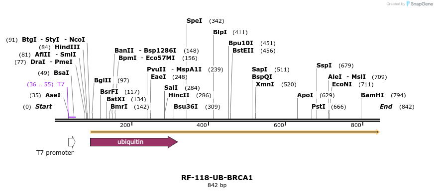 150349_map