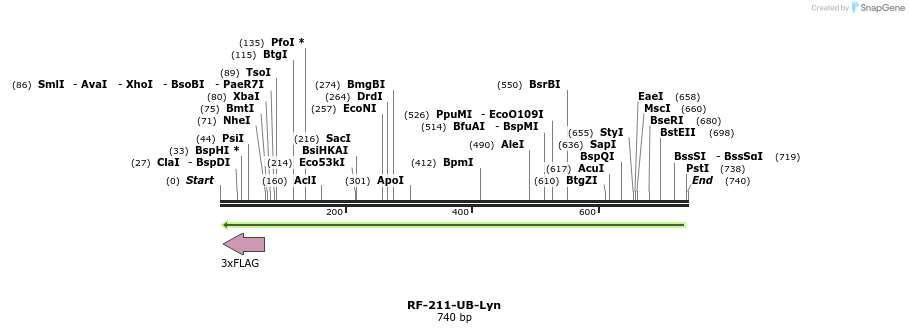 150352_map