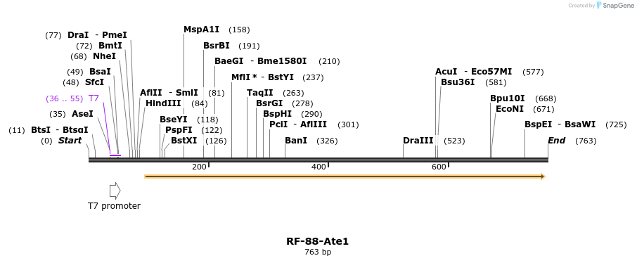 150356_map