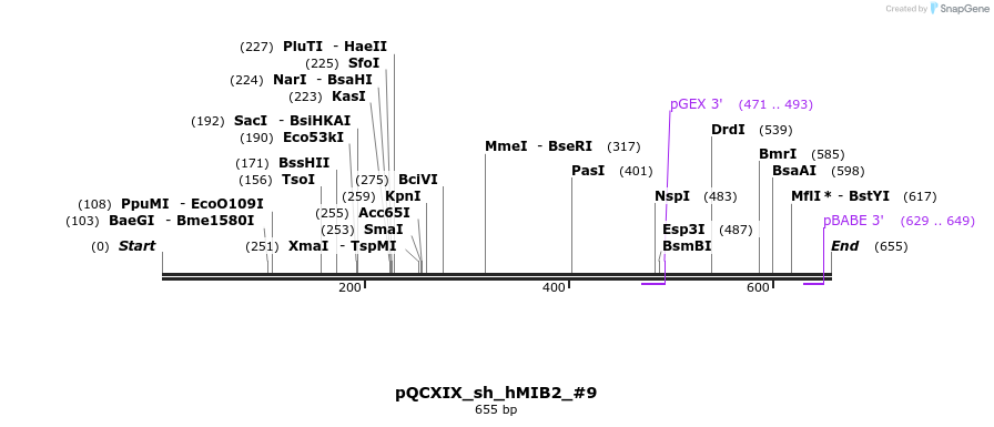 150358_map