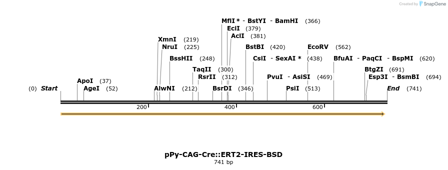 150363_map