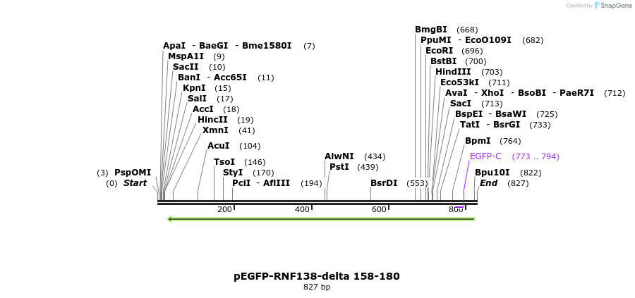 150371_map