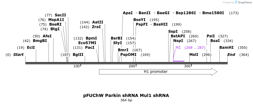 150375_map