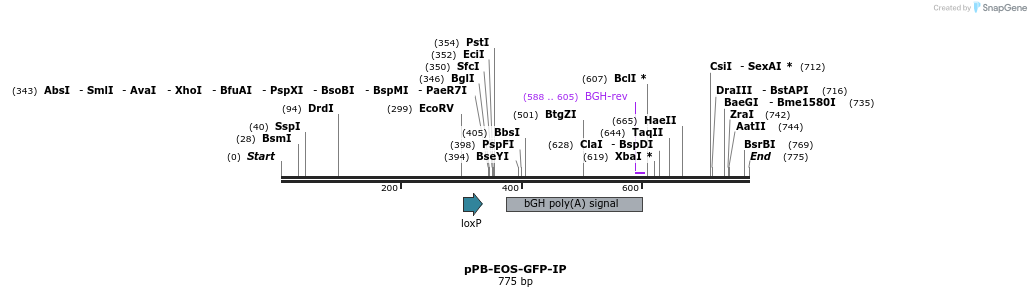 150377_map