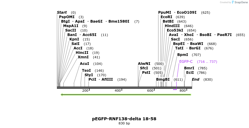 150378_map