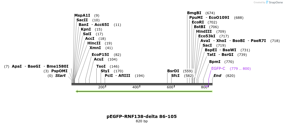 150381_map