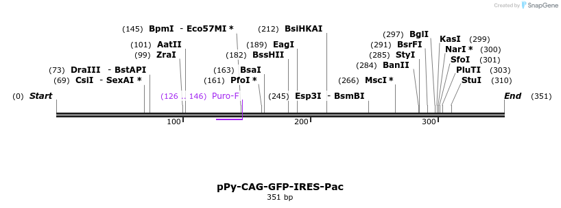 150386_map