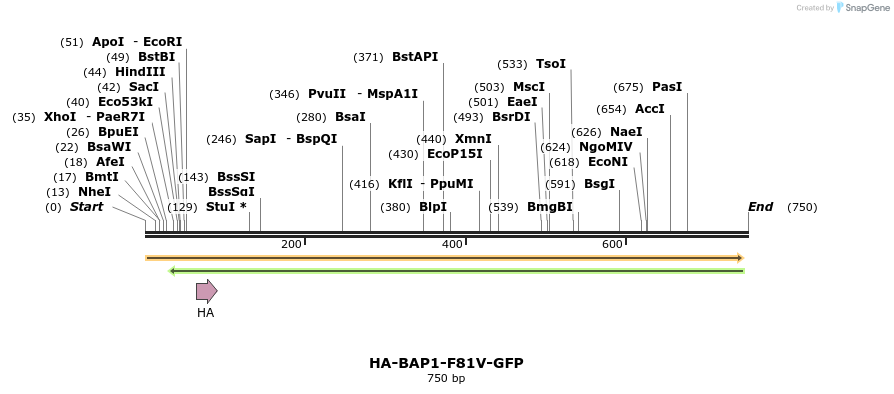 150387_map