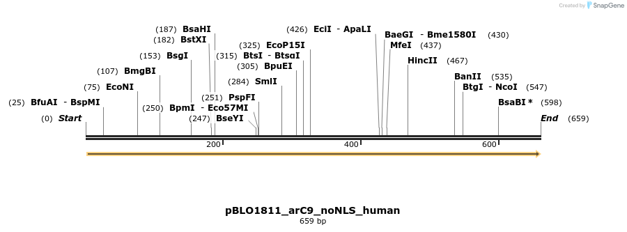150391_map